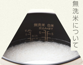 無洗米について